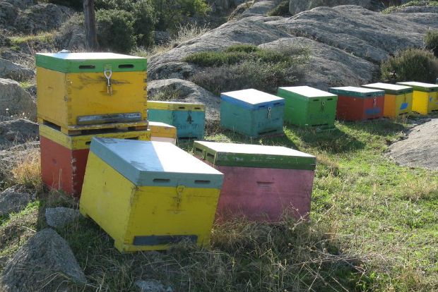 Υπάρχει μήνας του μέλιτος;