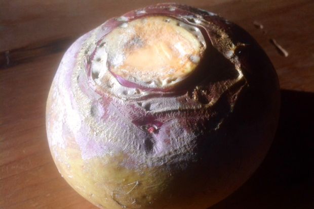 Υπόγειοι θησαυροί και σούπα από ρίζες