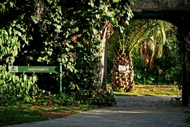 Υπουργός Παιδείας προς Γεωπονικό: Μπάστε τους όλους!