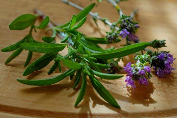 Ζαατάρ: μυστηριώδες βότανο, υπέροχο χαρμάνι